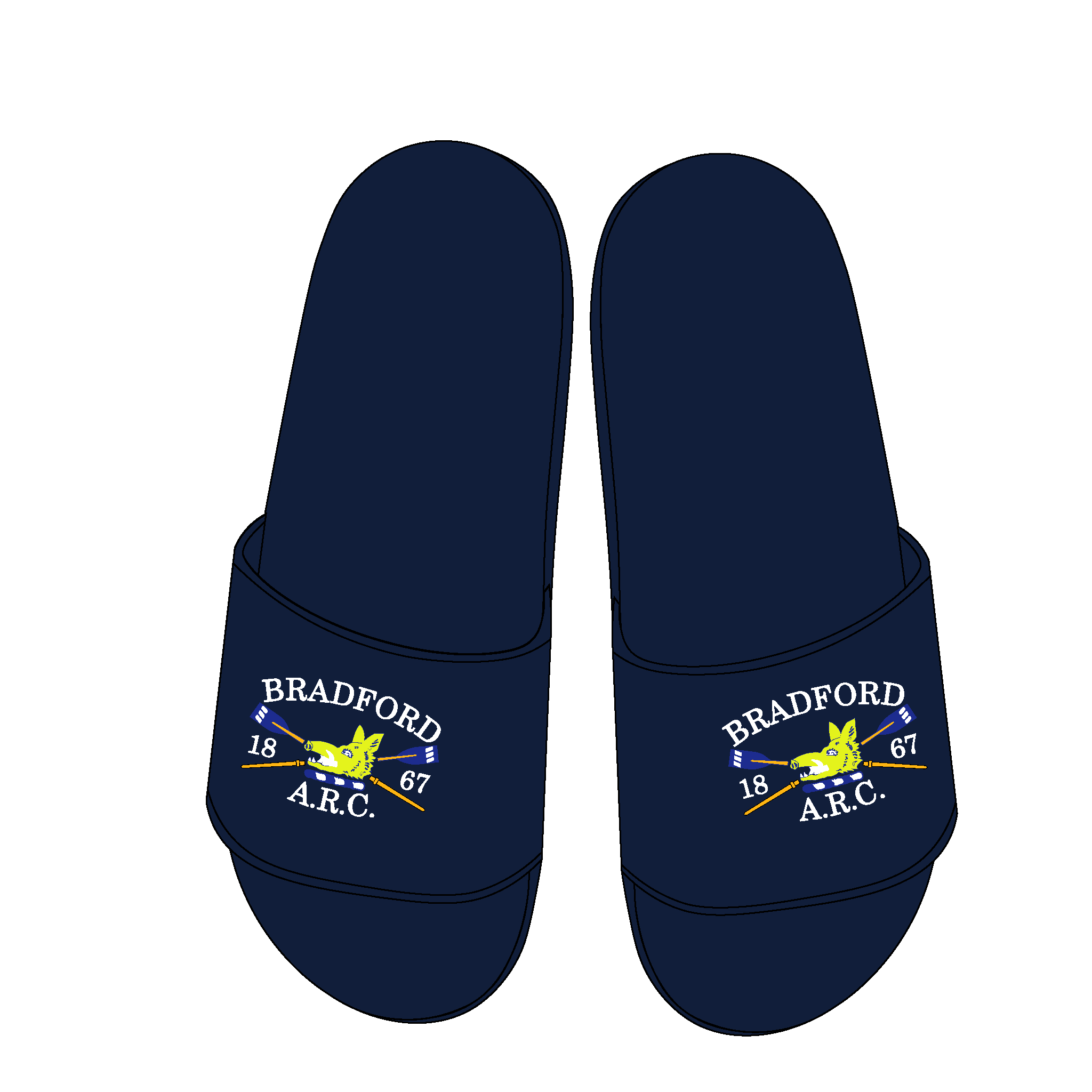 Bradford ARC Slides