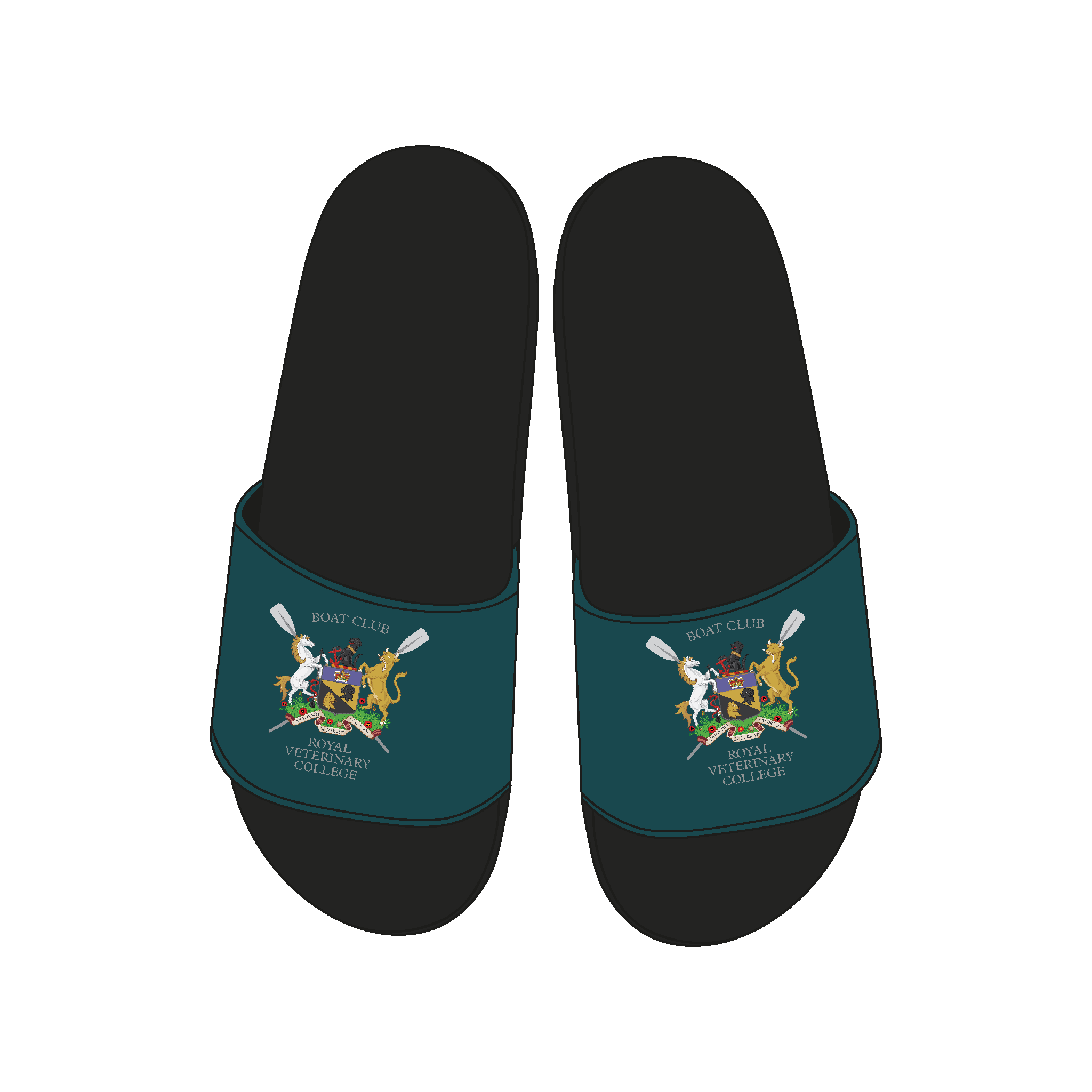 Royal Veterinary College BC Sliders