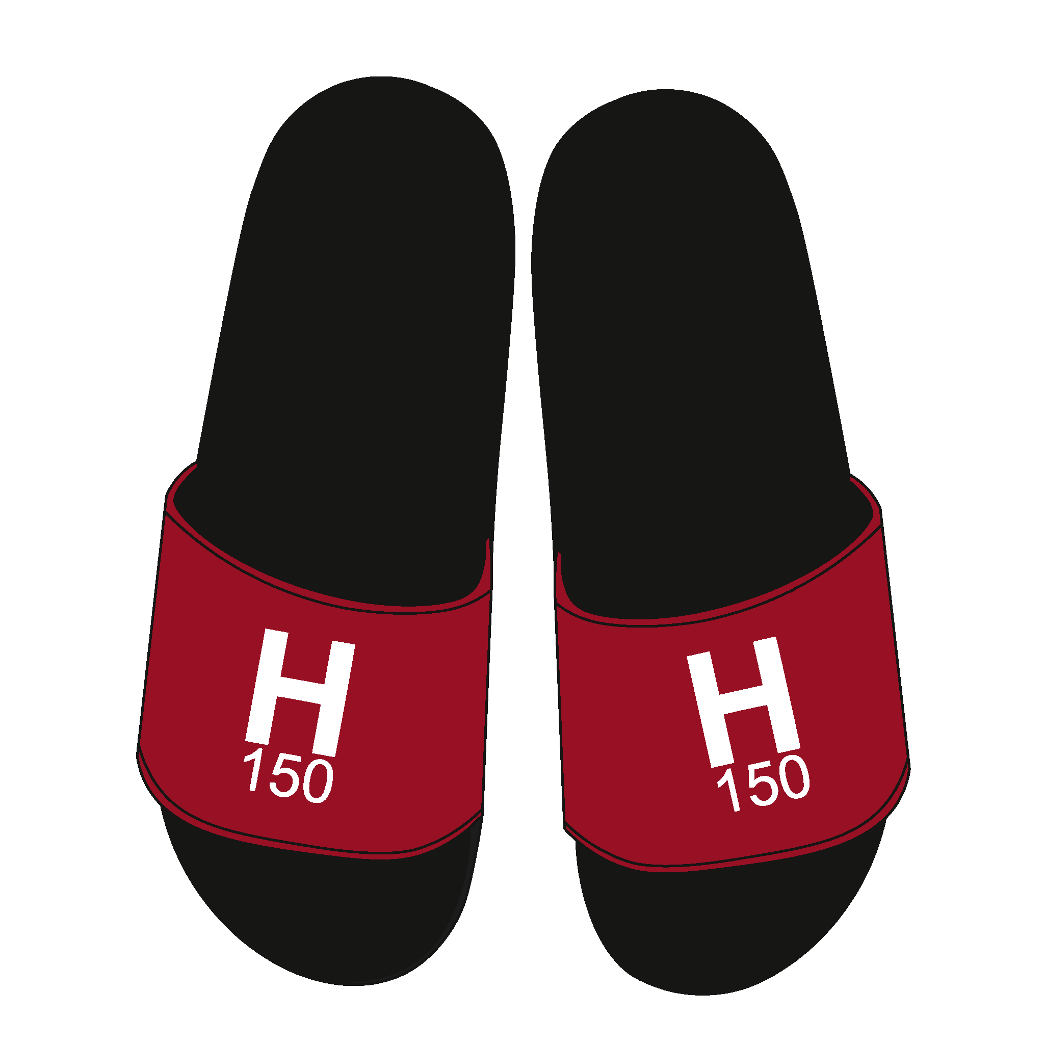 Harvard Men's Lightweight Crew Slides