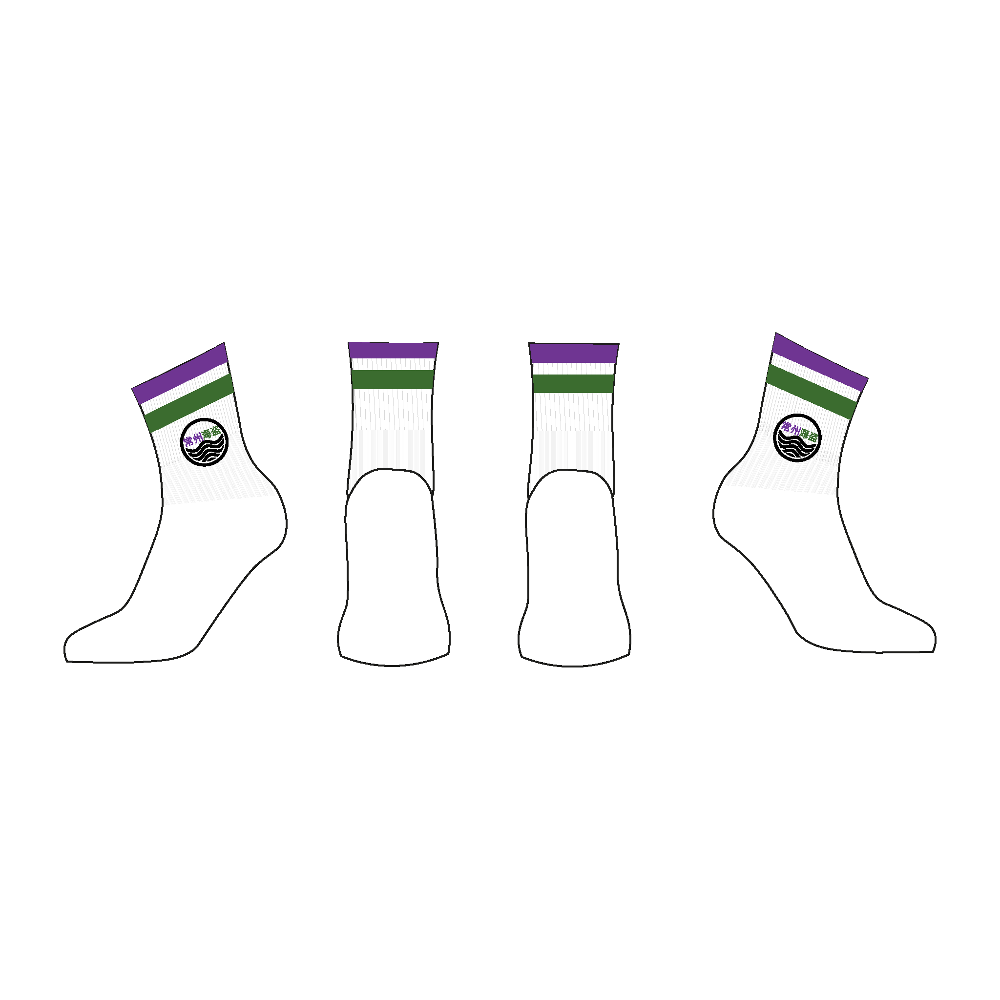 Changzhou Pirates Crew Socks