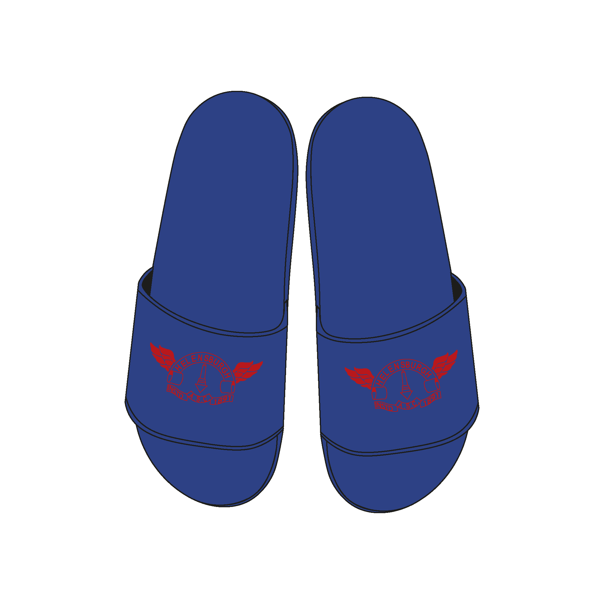 Helensburgh Amateur Swimming Club Slides