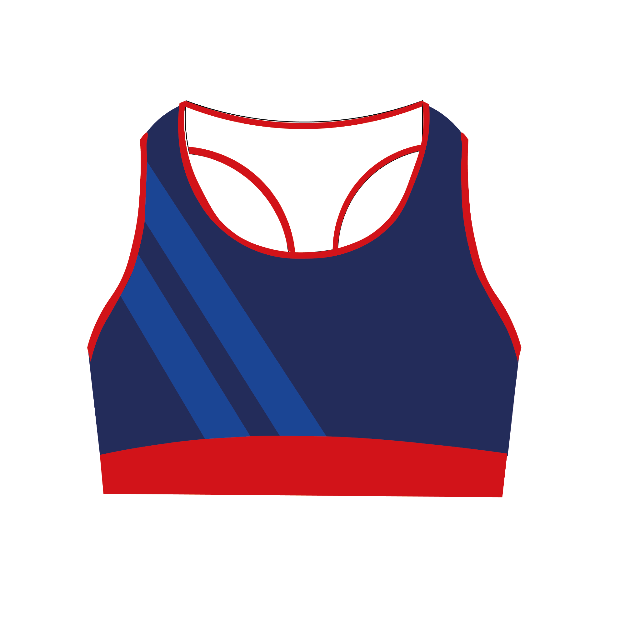 Stirling RC Sports Bra 1