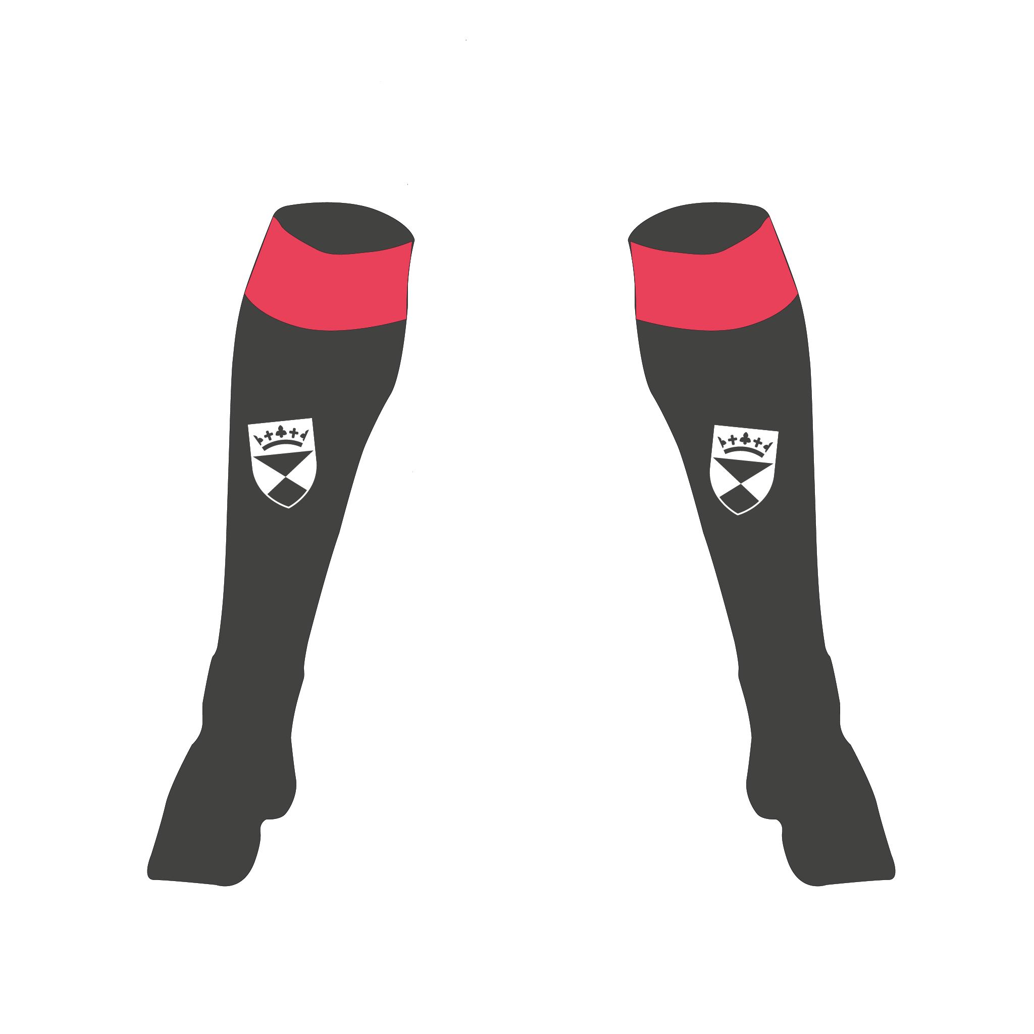 Dundee University Women's FC Football Socks