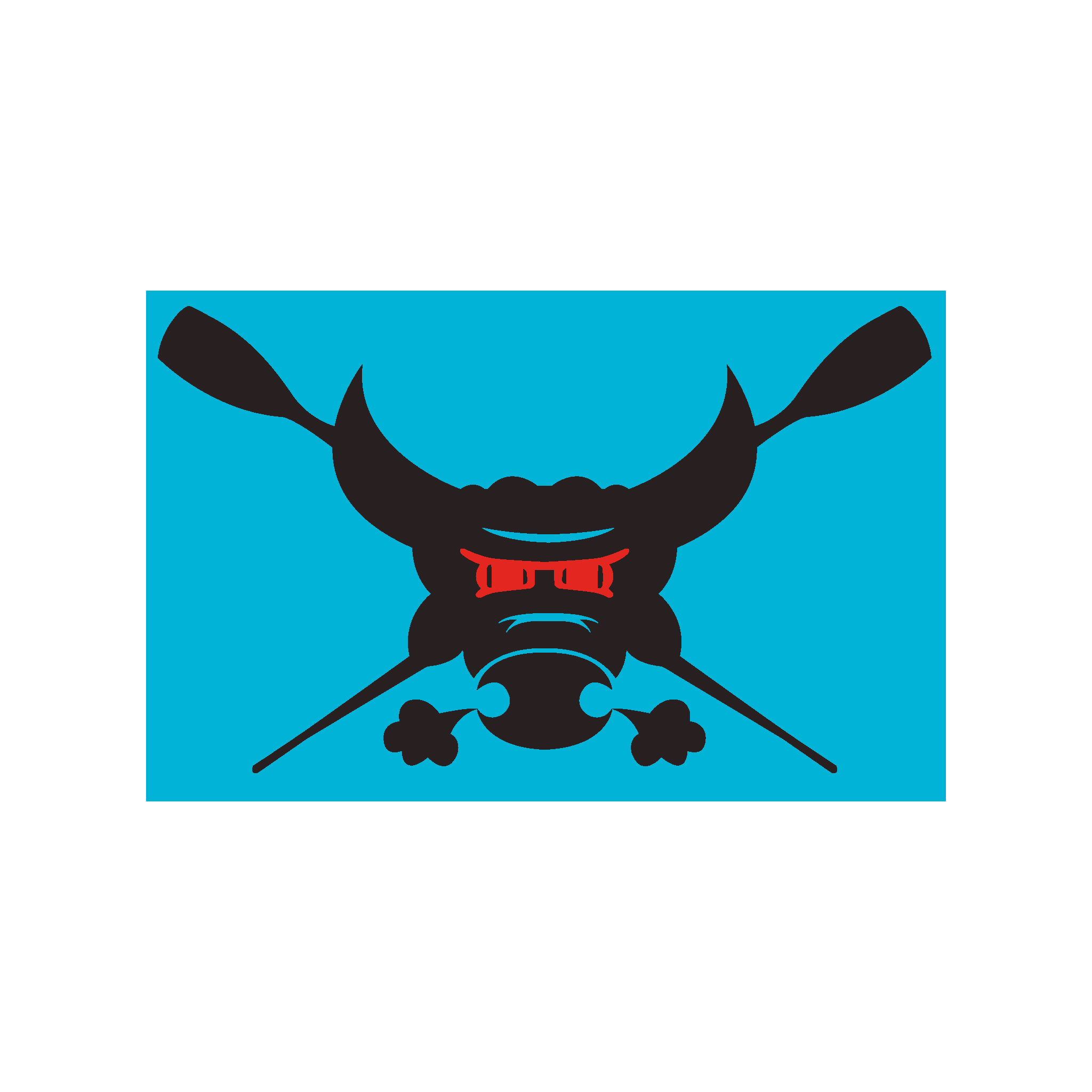 Bull Bag Patch