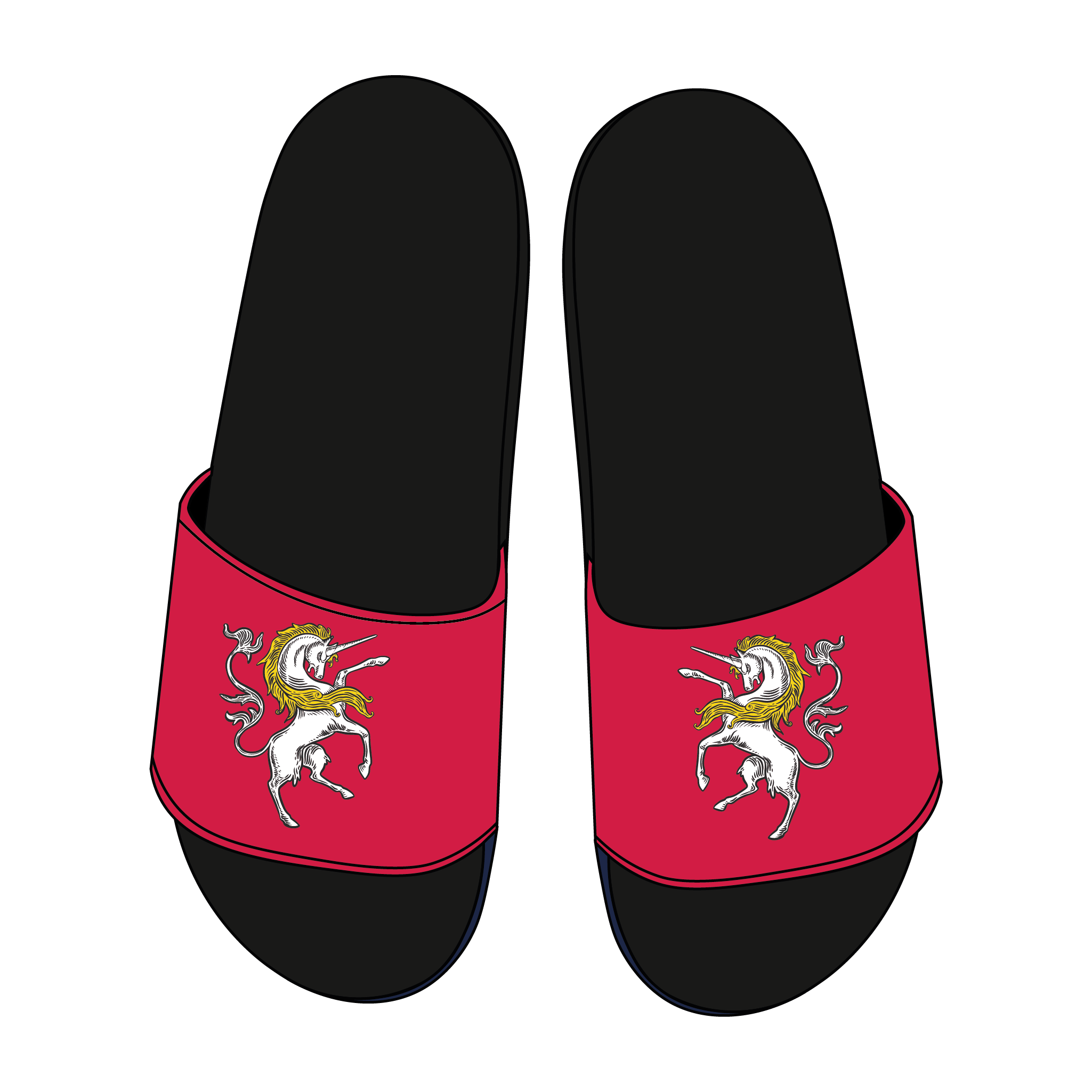 Heart of Scotland Boat Club Slides