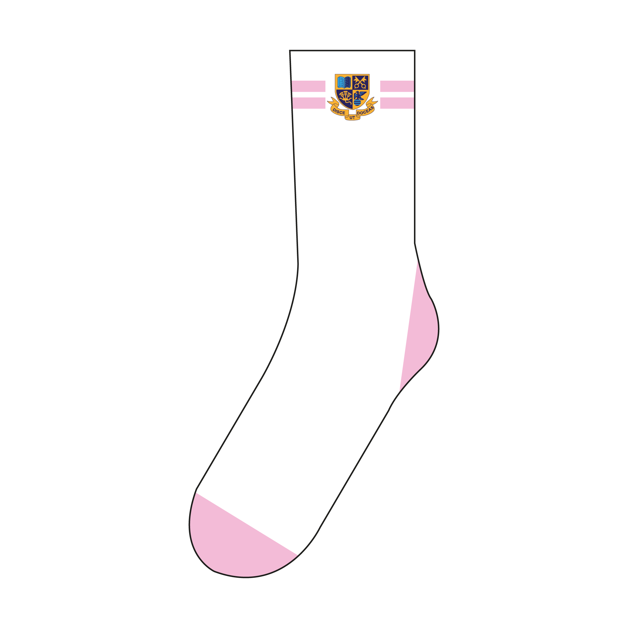 St. Paul's Starfish Socks