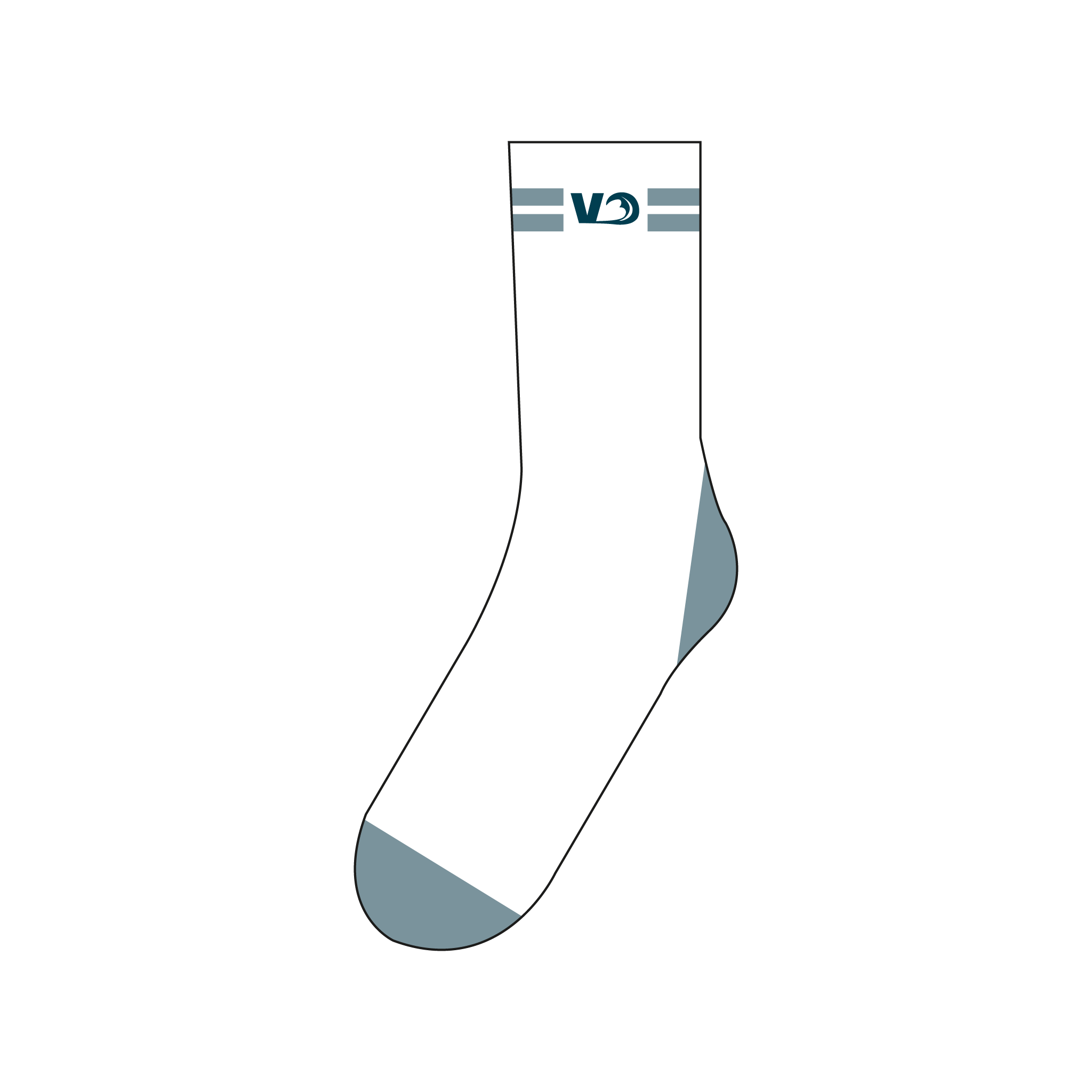 Team V3nture Socks