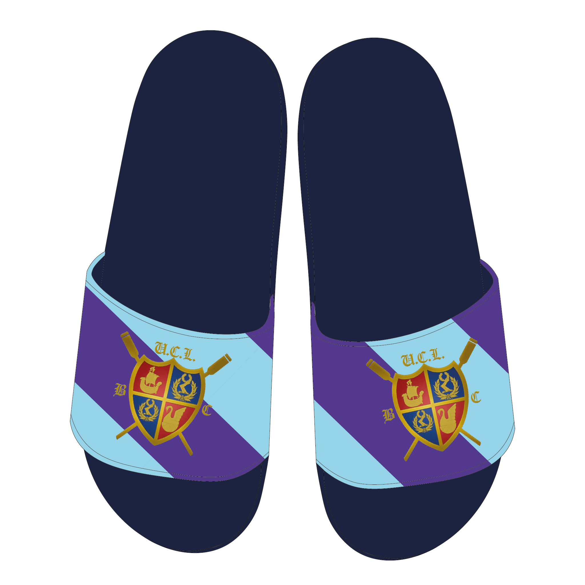 UCL Slides