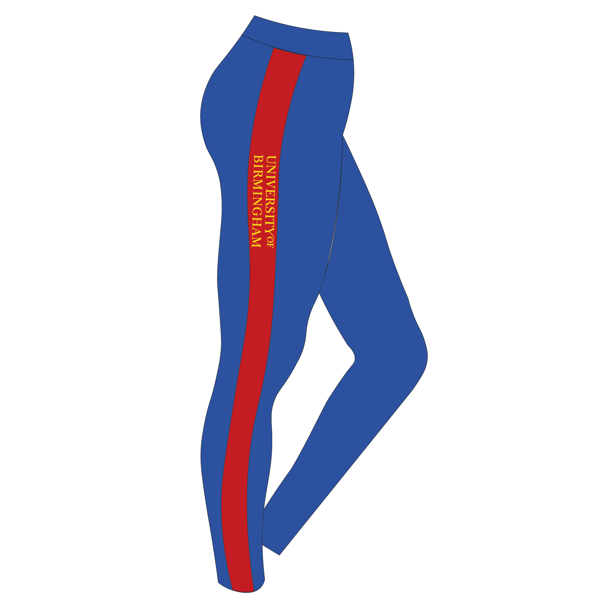 2 Lions  BC Racing Leggings