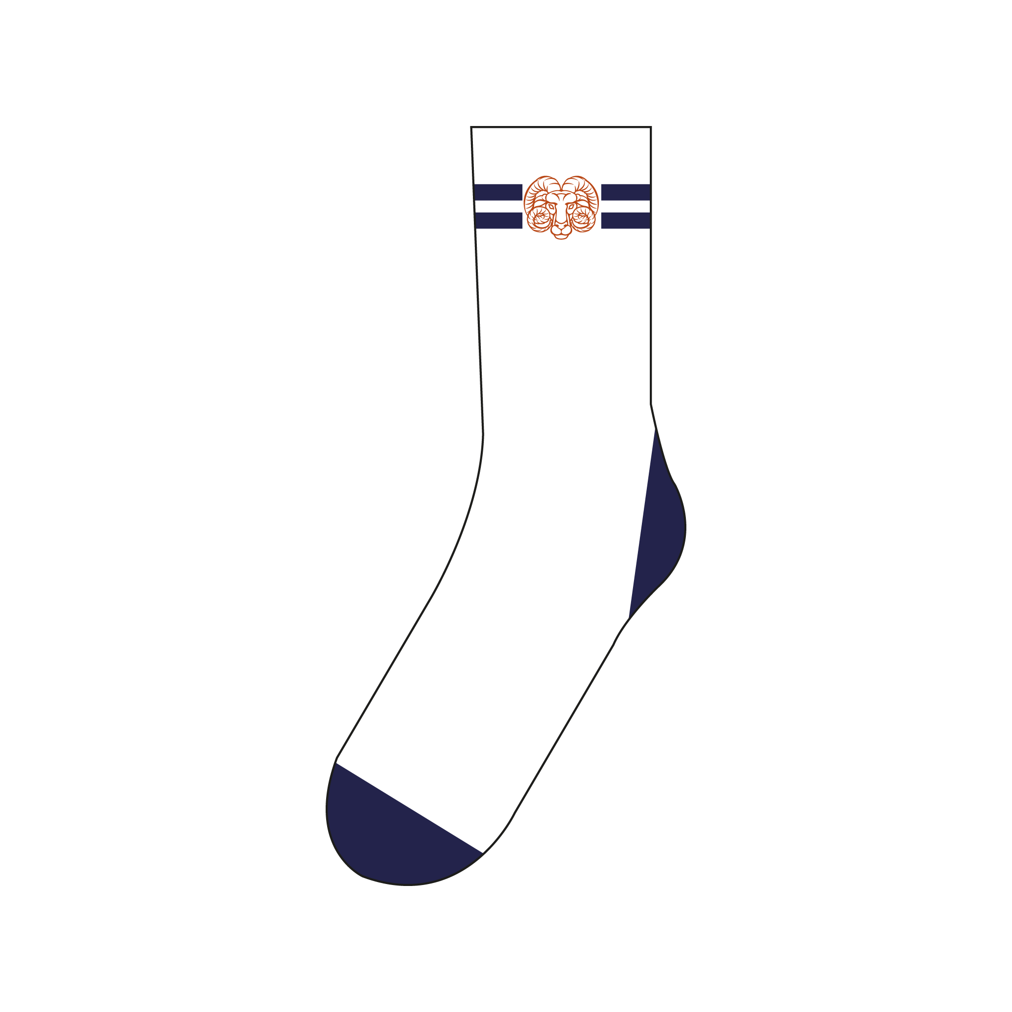 Aries Boat Club Socks
