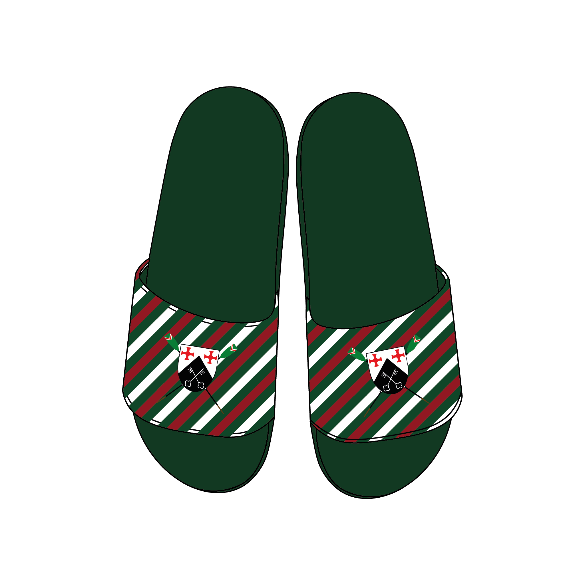 St. Aidan's Boat Club Slides