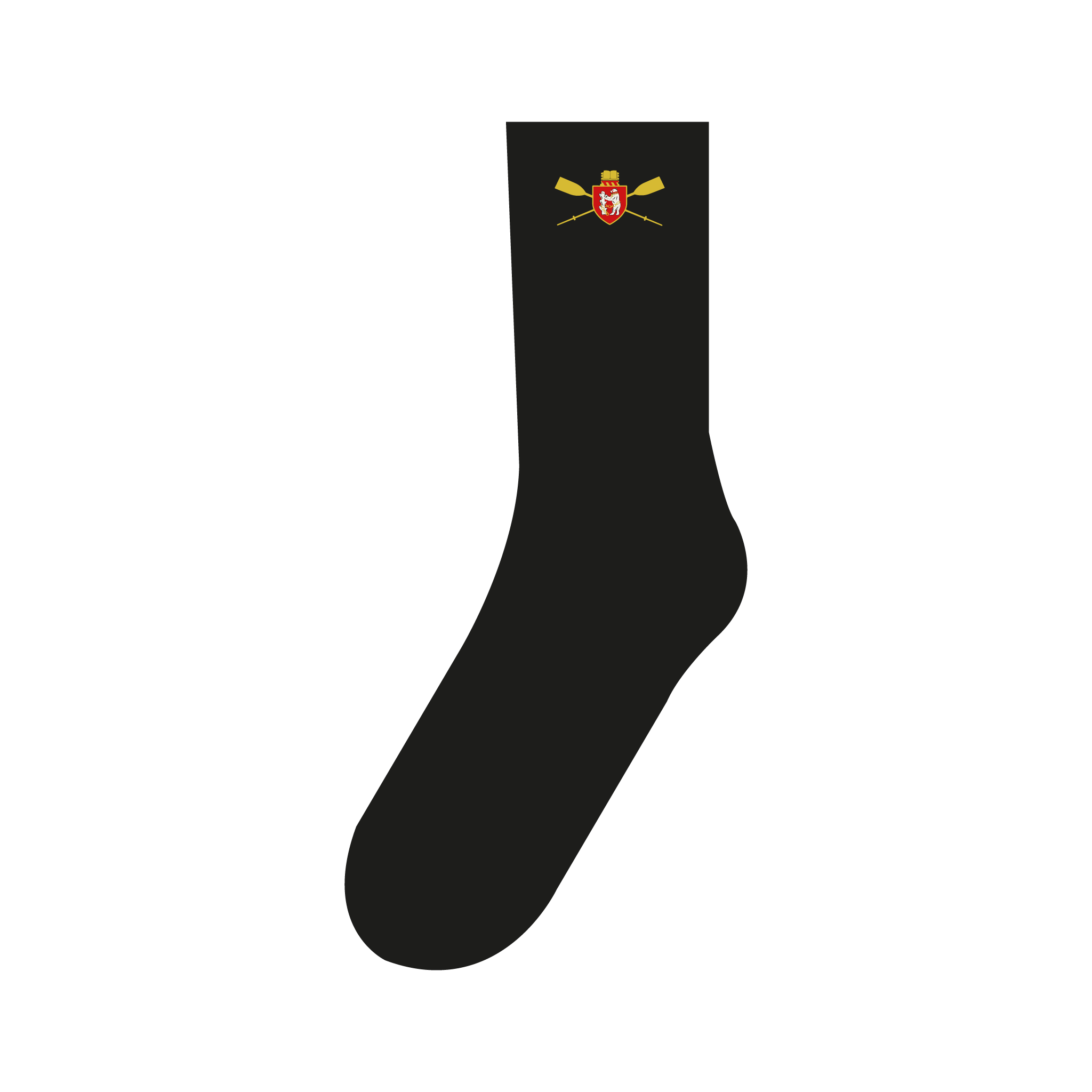 Warwick University BC Socks