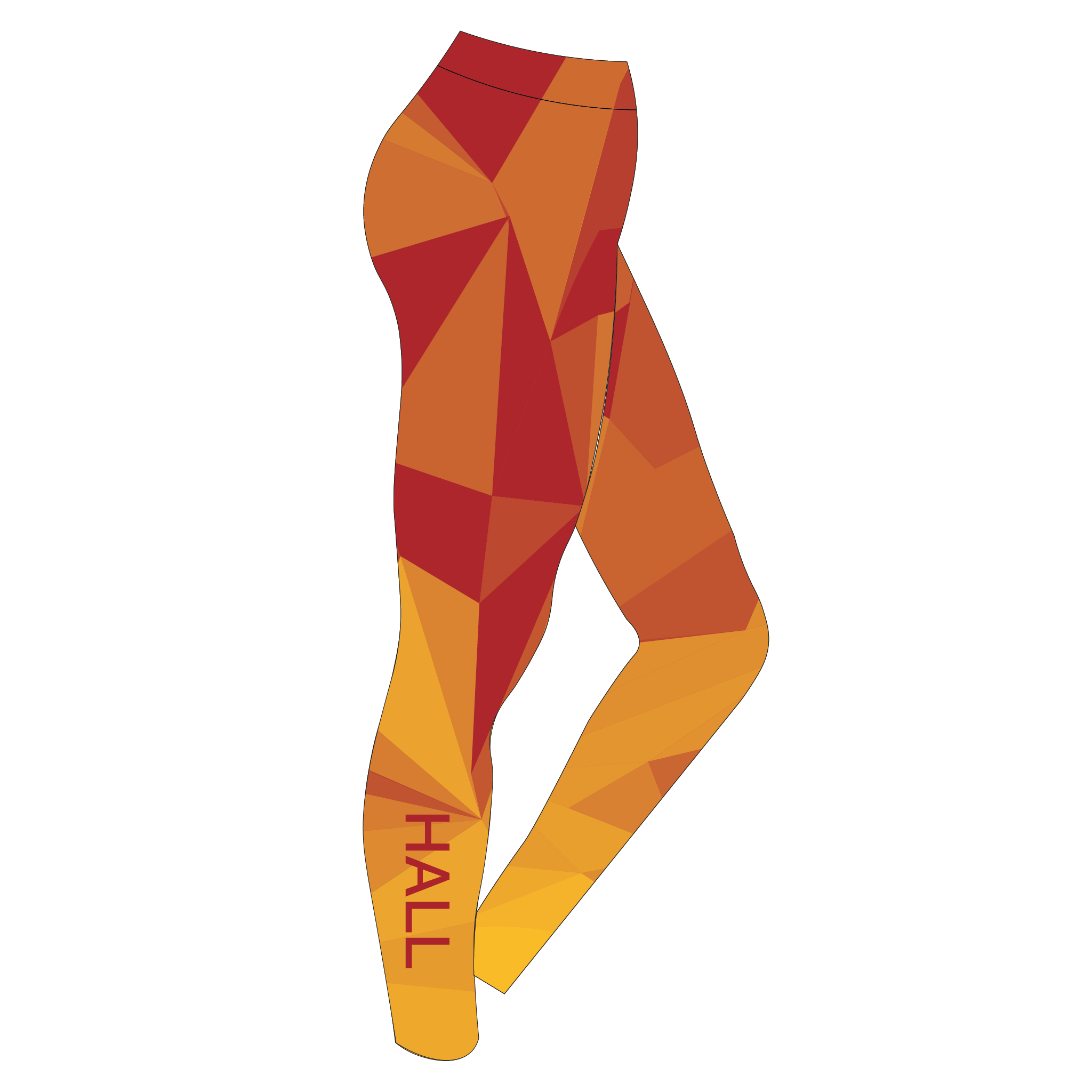 St Edmund Hall BC Training Leggings