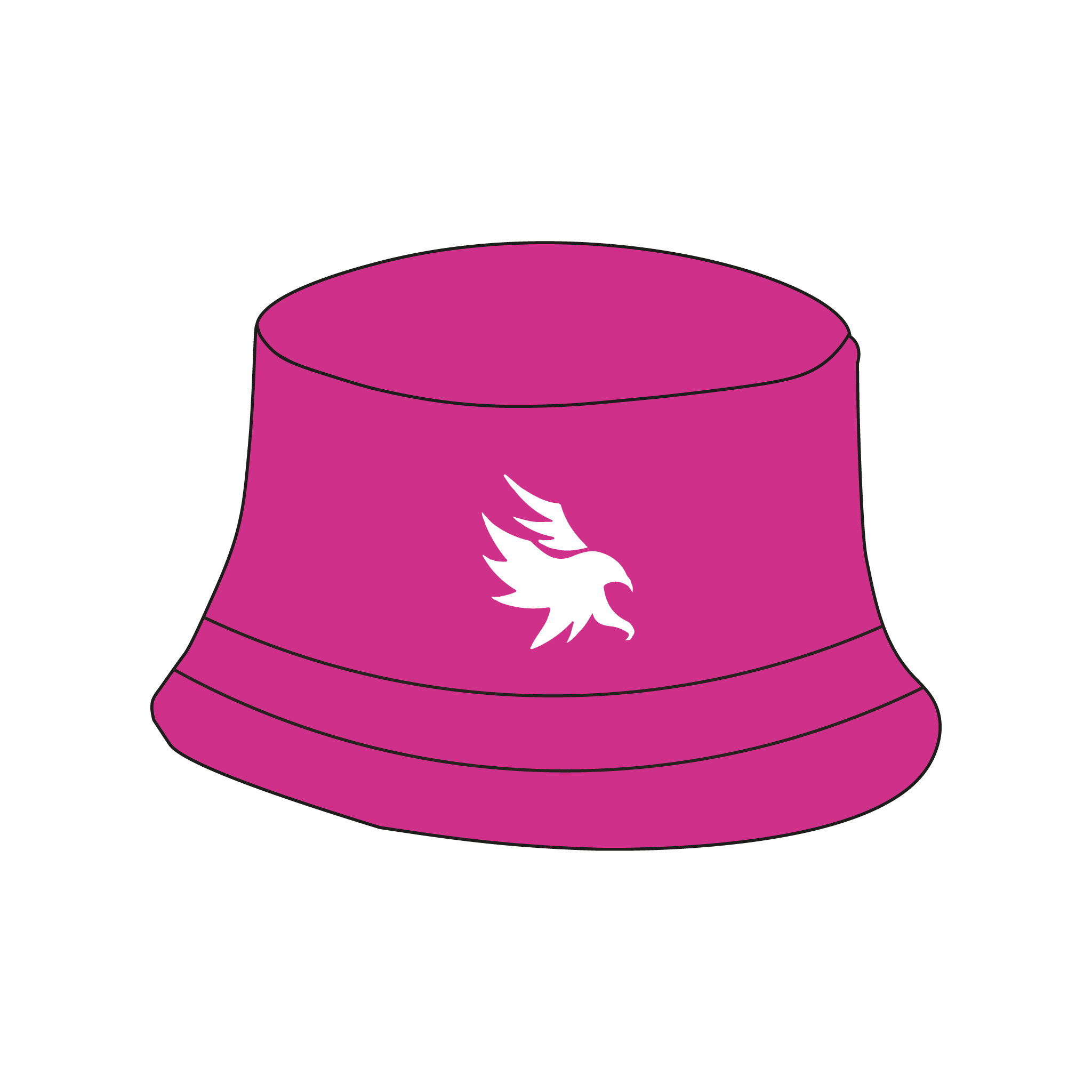 The Ospreys Bucket Hat