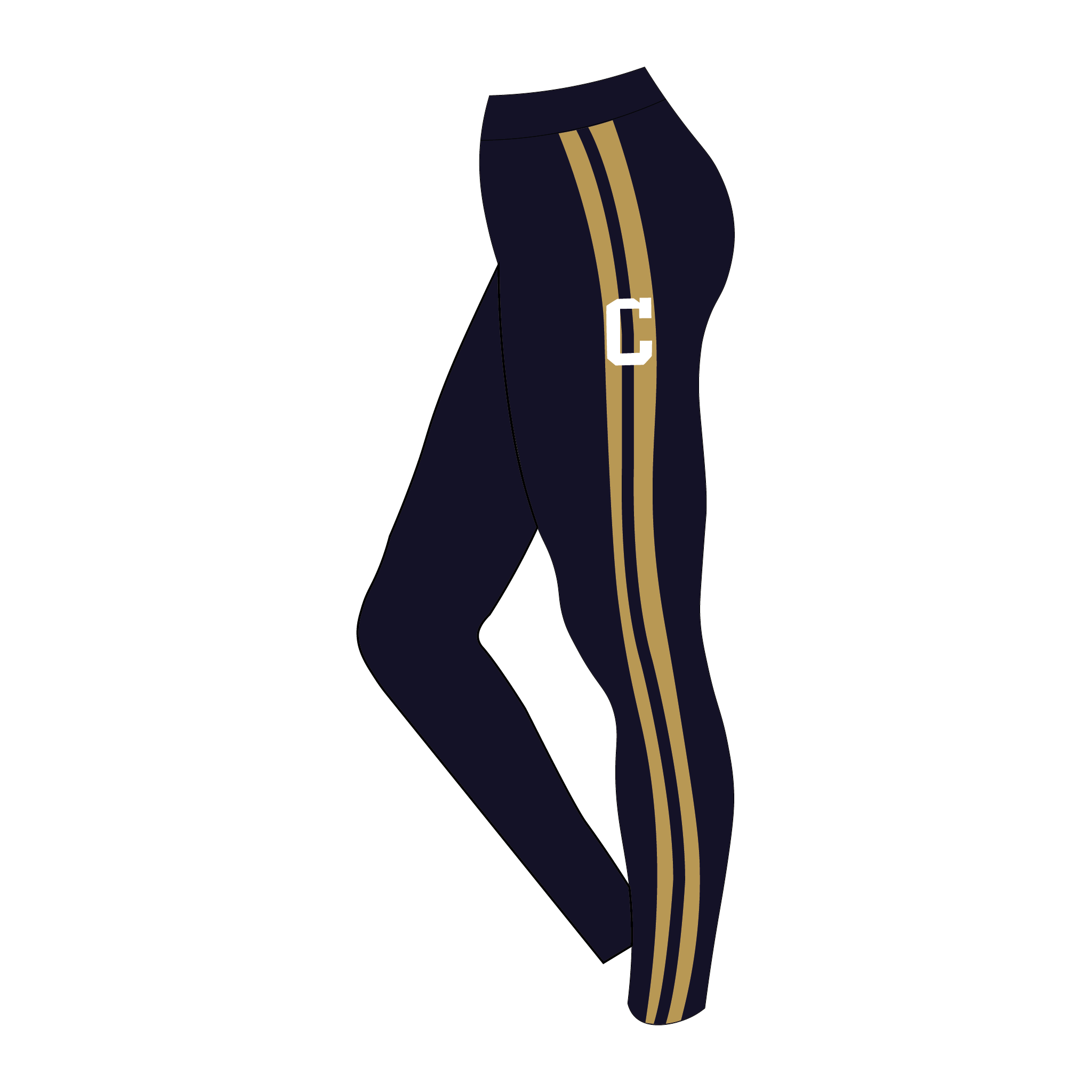 Canisus High School Leggings