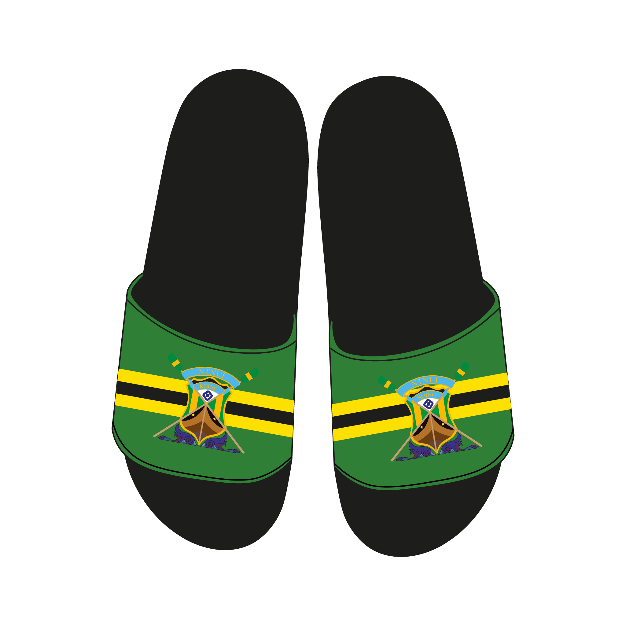 NTNUI Roing Slides