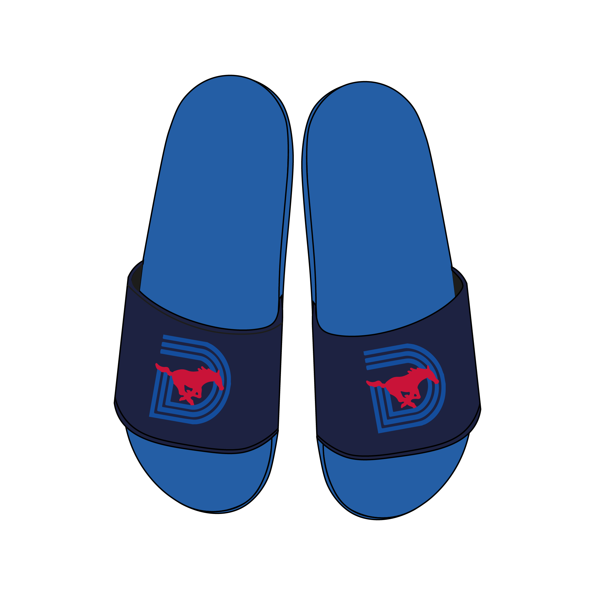 Southern Methodist University Slides