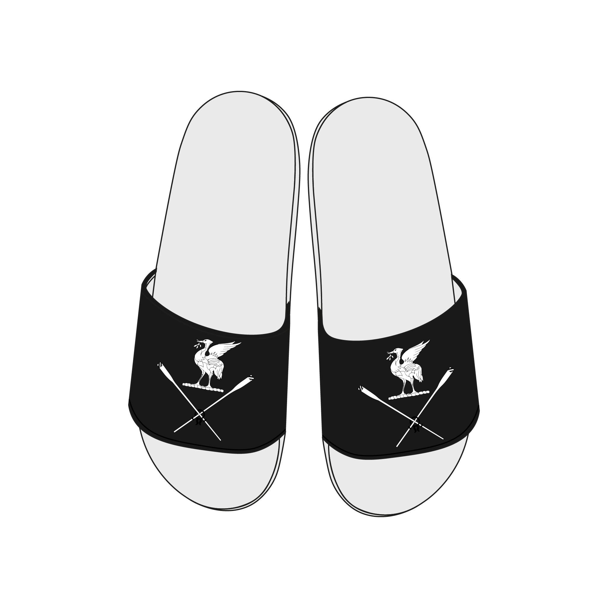 Mersey Rowing Club Slides