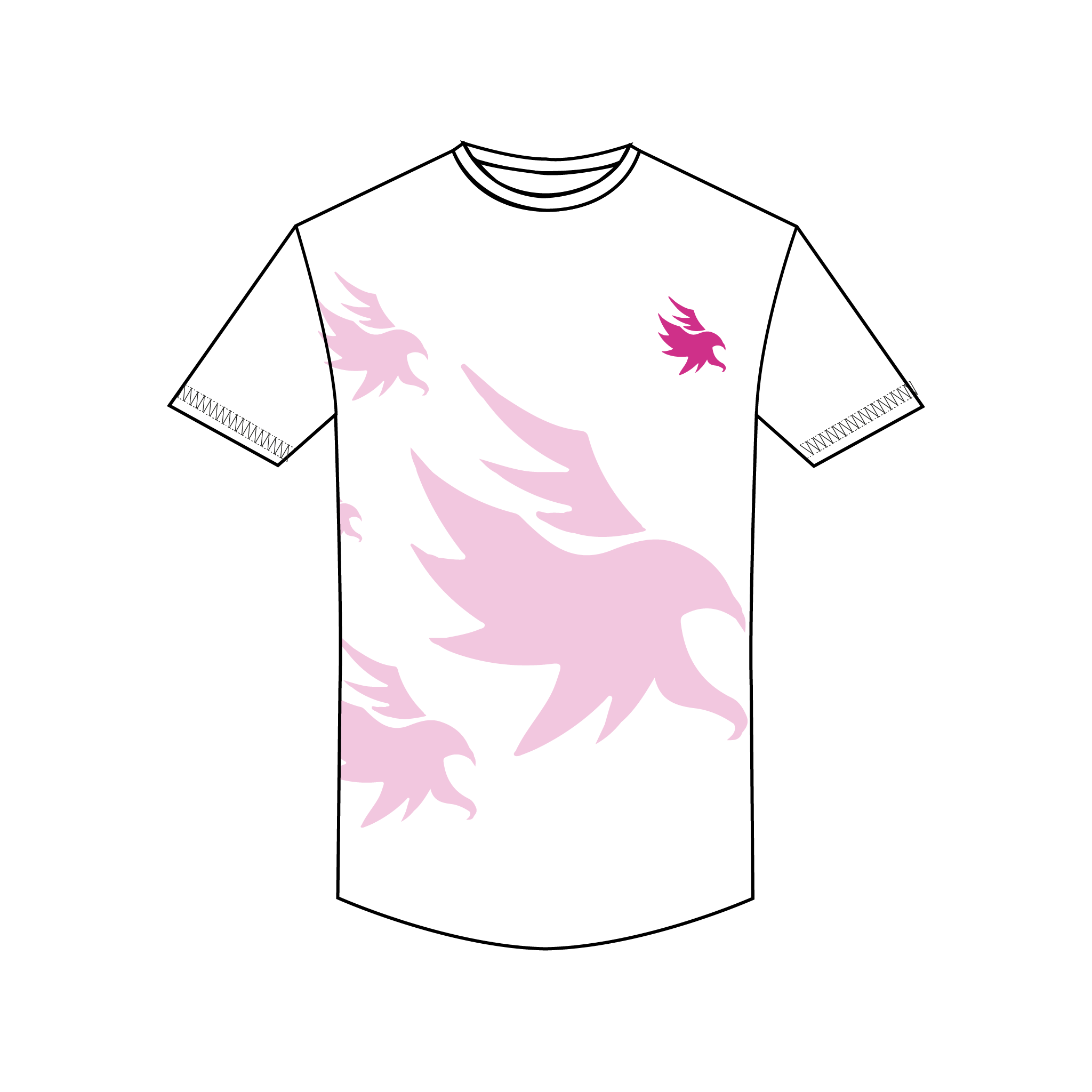 The Ospreys Bespoke Gym T-Shirt