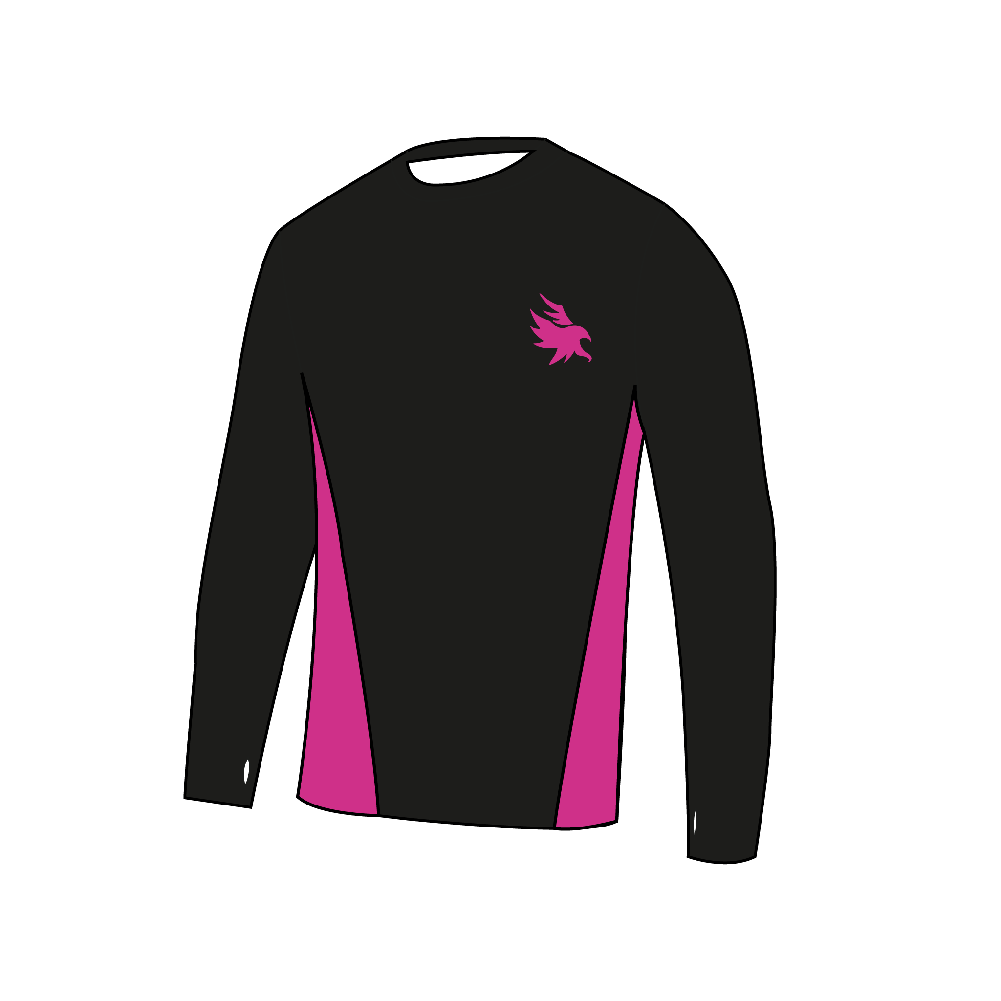 The Ospreys Long Sleeve Gym T-Shirt