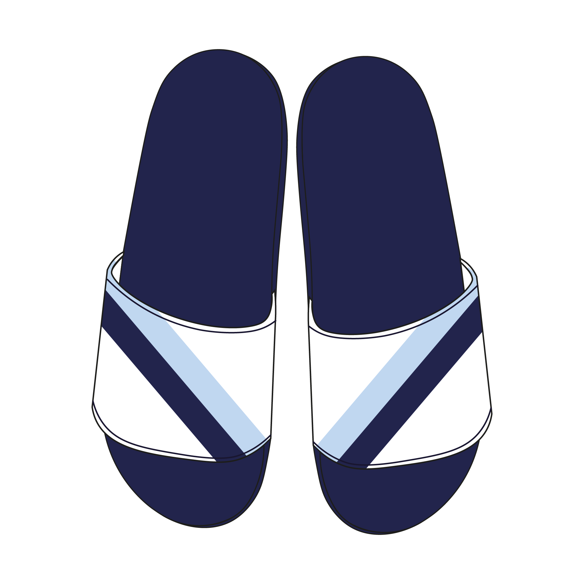 Broxbourne RC Slides