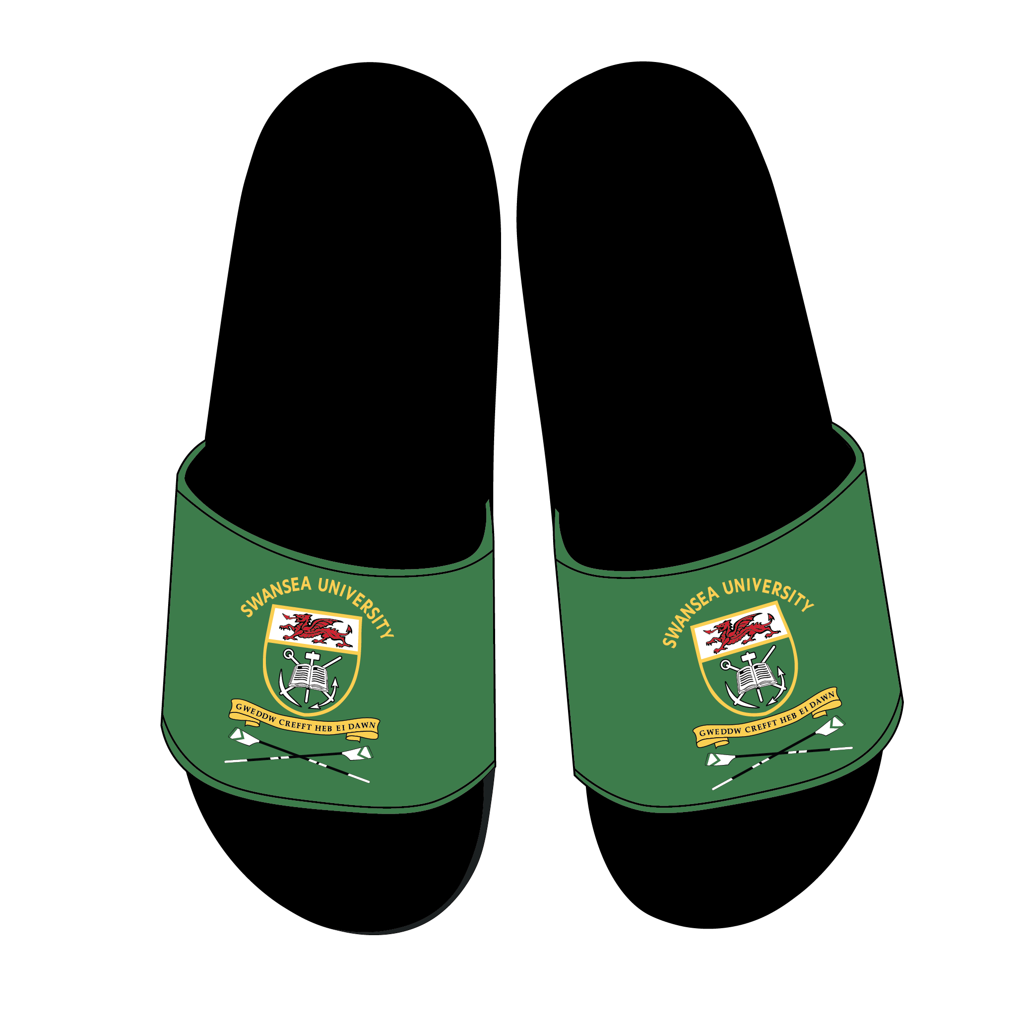 Swansea University Boat Club Slides