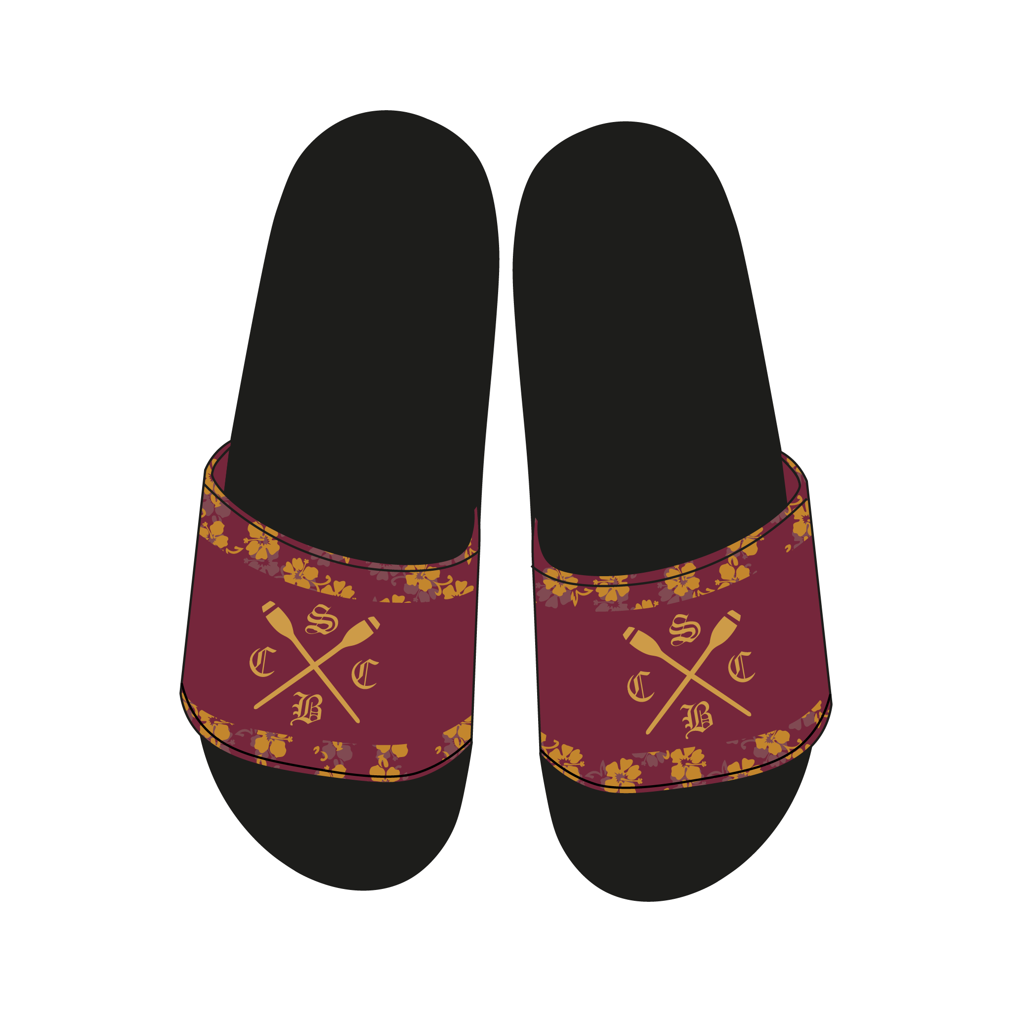 Selwyn College BC Slides