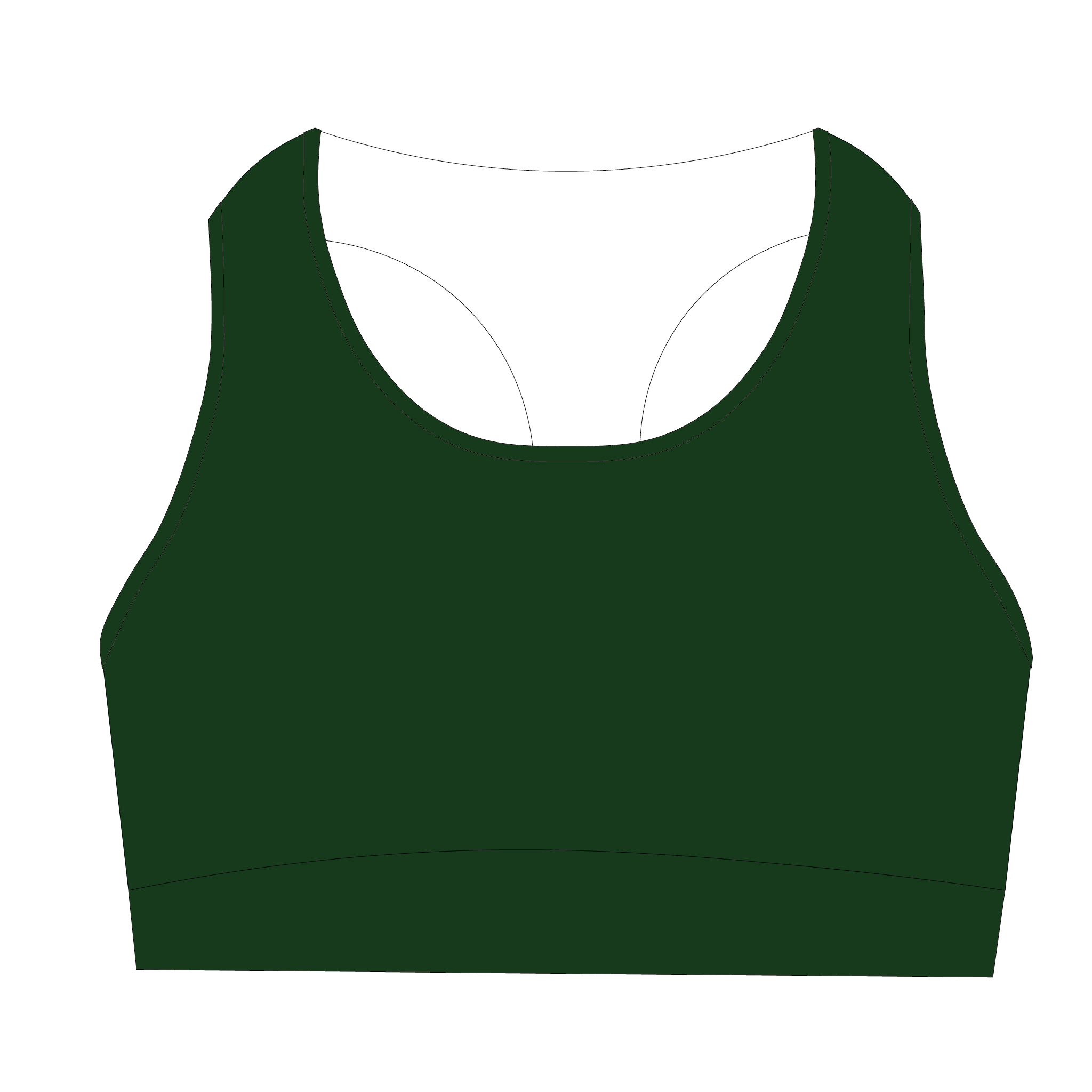 Abingdon Sports Bra
