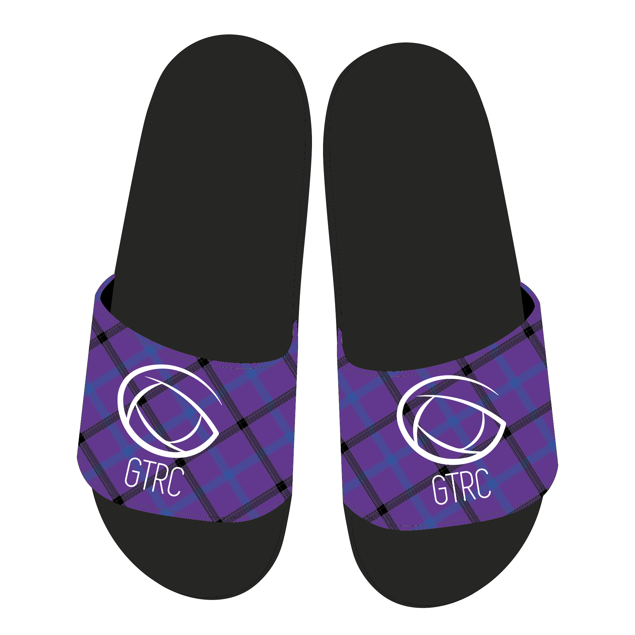 GTRC Slides