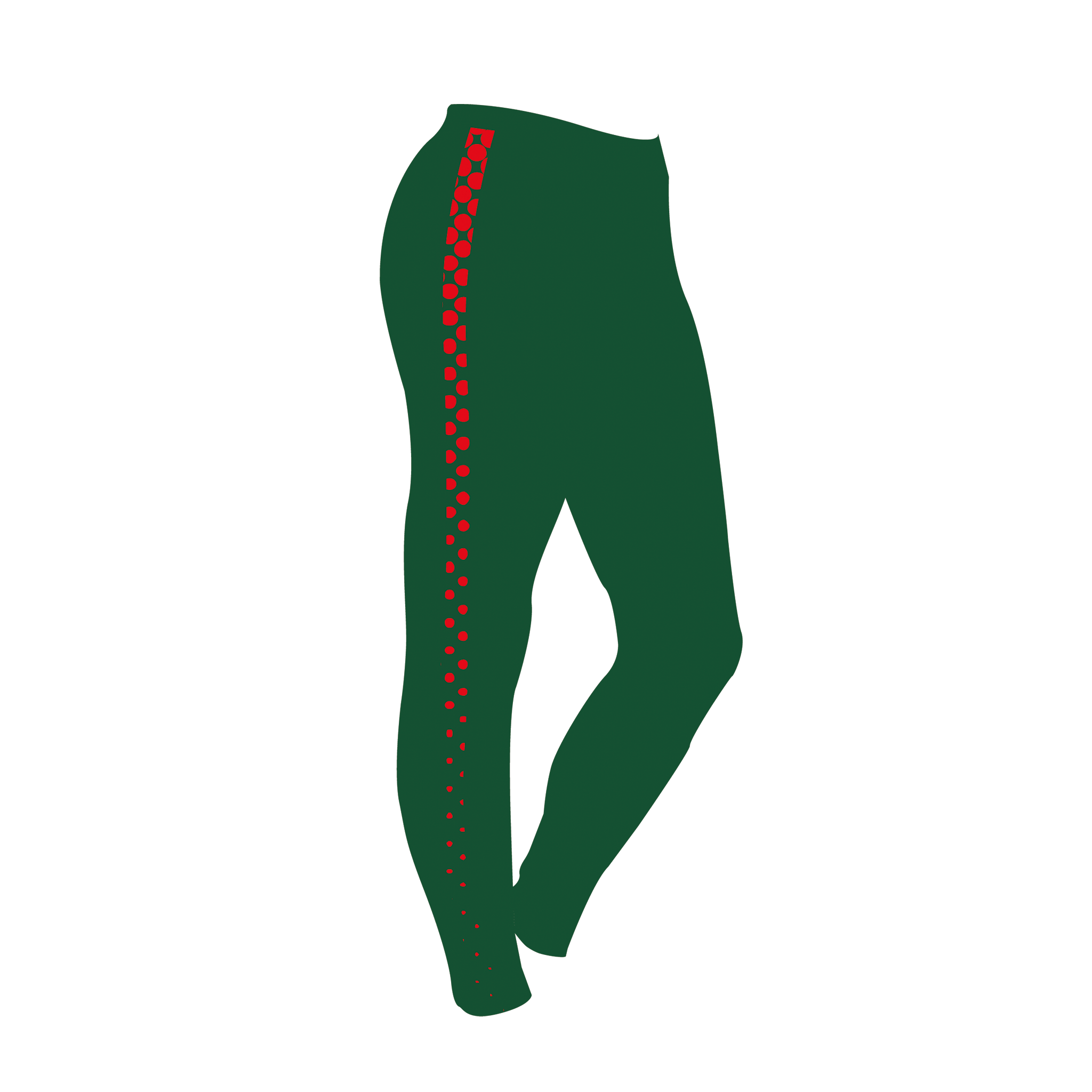 Inverness Training Leggings