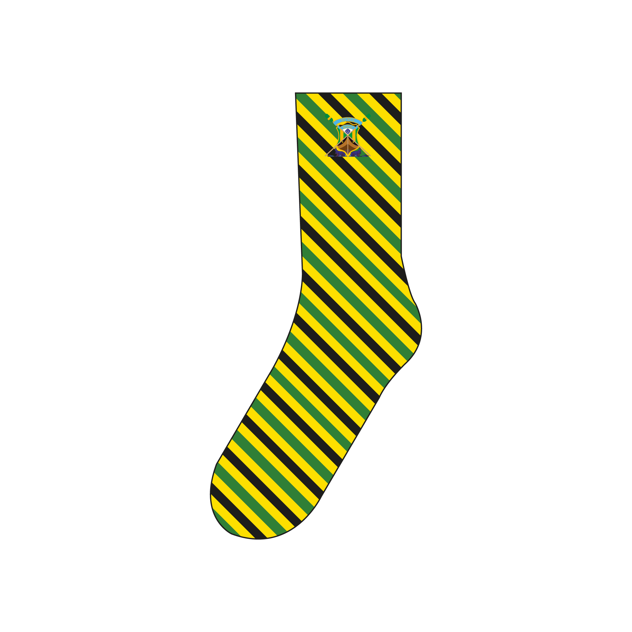 NTNUI Roing Socks